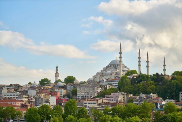 Istanbul in a Day: The Ultimate City Tour Guide